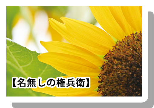 フォトコンテスト画像