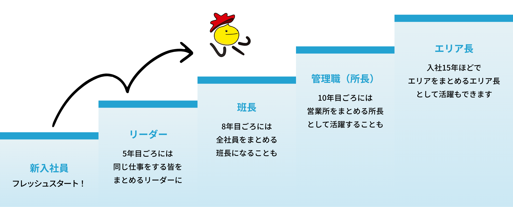 大阪運輸のキャリアステップイメージ